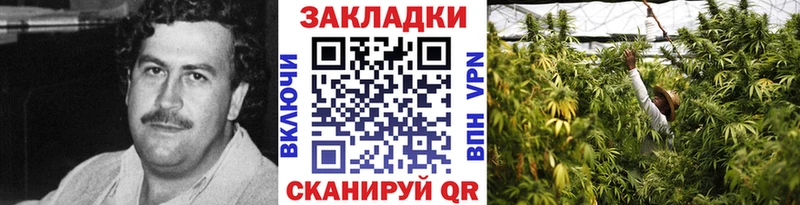 Наркошоп купить ГАШИШ  МАРИХУАНА  Меф  Грязовец