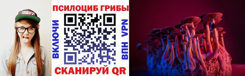 Псилоцибиновые грибы мухоморы  Купить где  Грязовец 