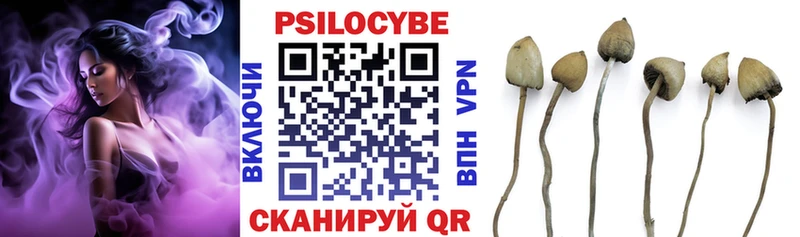 Галлюциногенные грибы Cubensis Грязовец