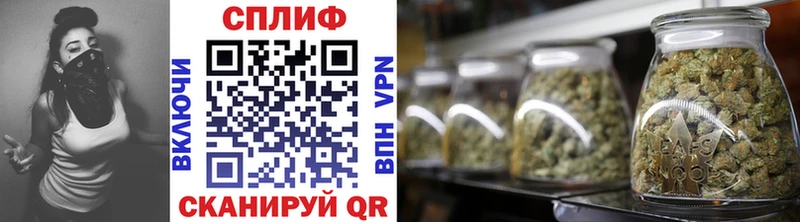 Конопля OG Kush  Купить  Грязовец 